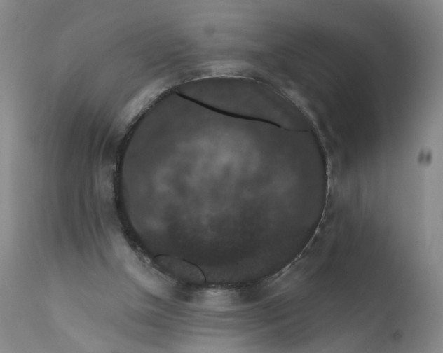 X0000112430154200909041444