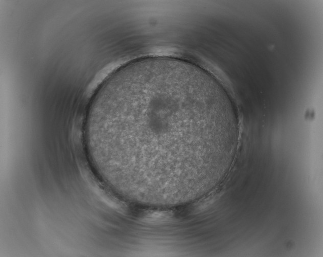 X0000112430155200909041444