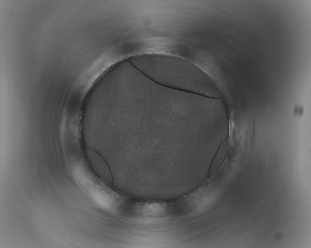 X0000112430156200909041444