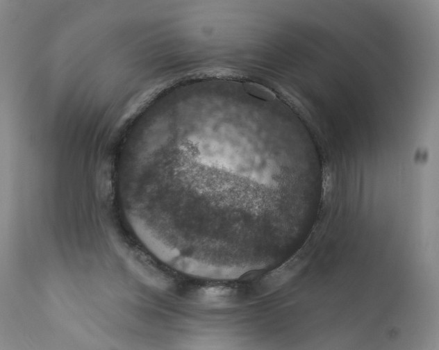X0000112430158200909041444