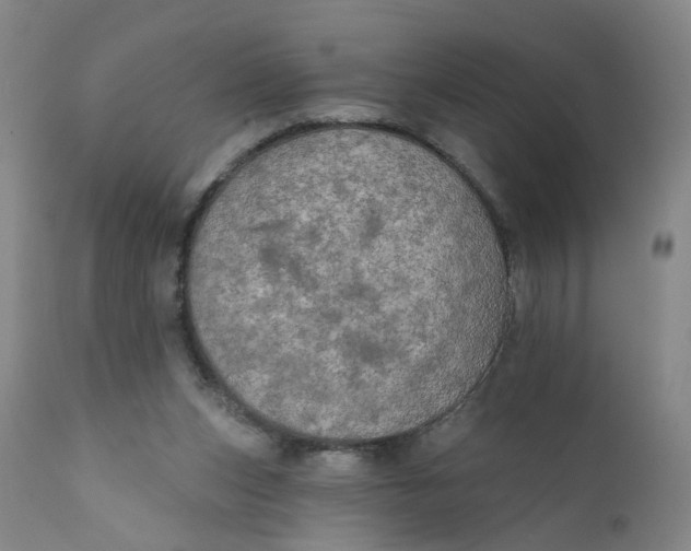 X0000112430159200909041444