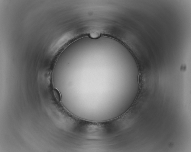 X0000112430160200909041444