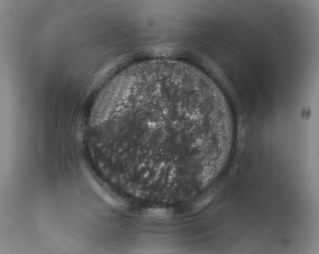 X0000112430161200909041444