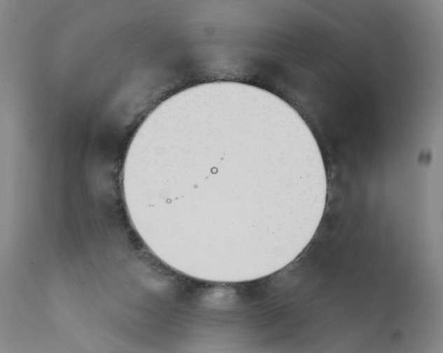 X0000112430162200909041444