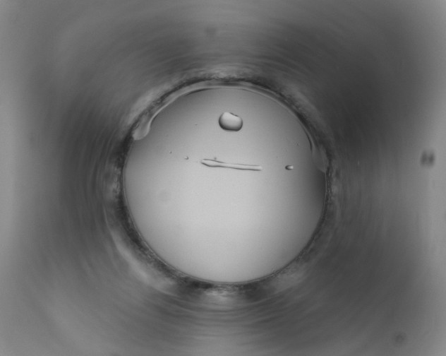 X0000112430164200909041444