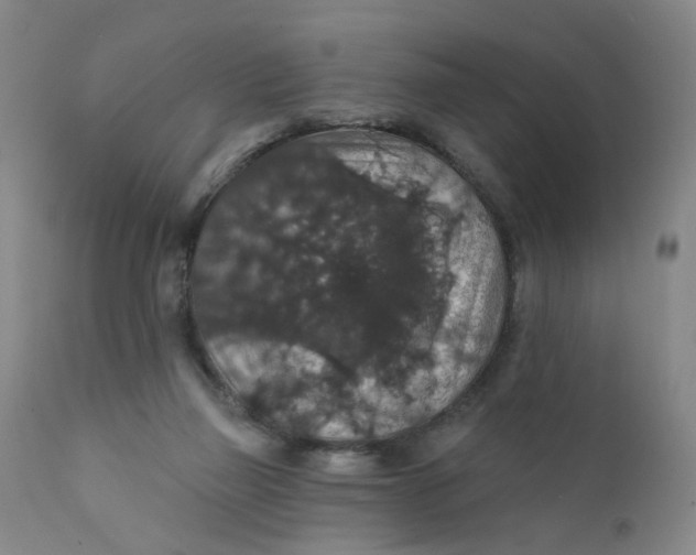 X0000112430165200909041444