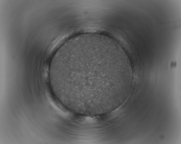 X0000112430166200909041444
