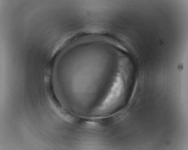 X0000112430167200909041444