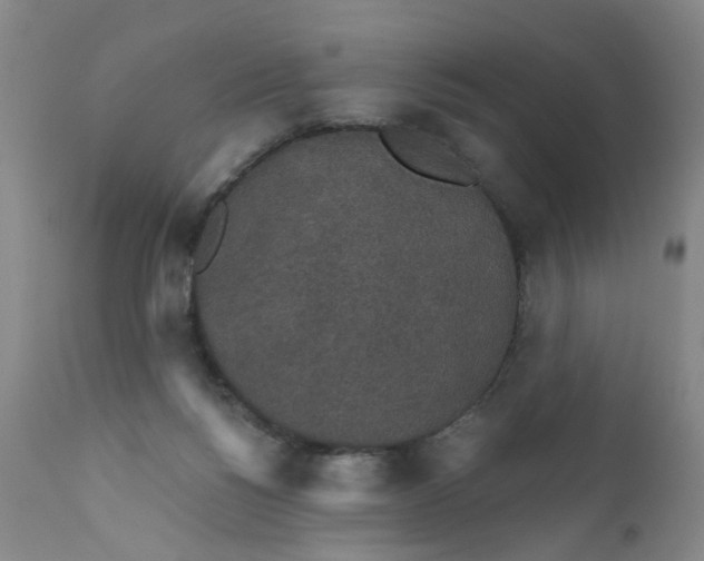 X0000112430168200909041444
