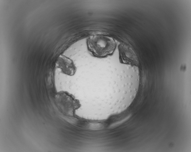 X0000112430169200909041444