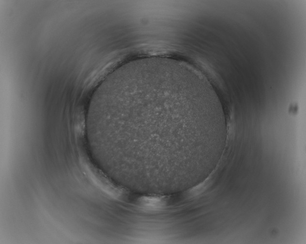 X0000112430170200909041444