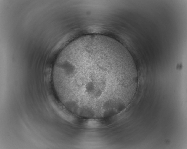 X0000112430171200909041444