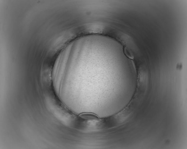 X0000112430172200909041445