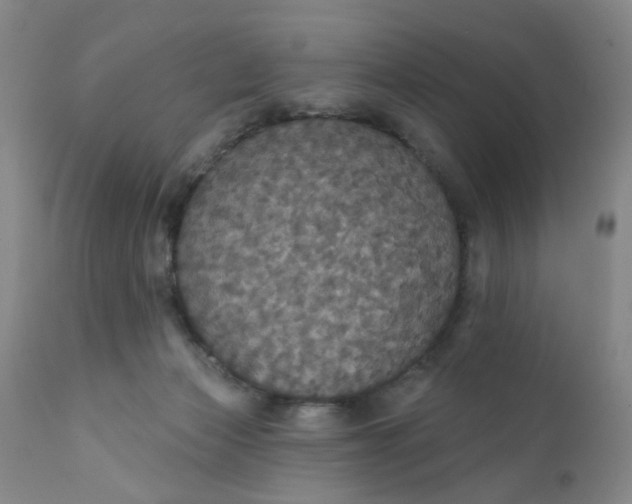 X0000112430173200909041445