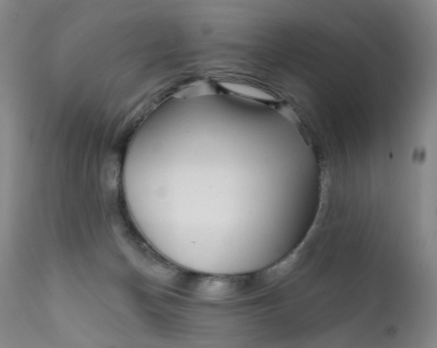 X0000112430174200909041445