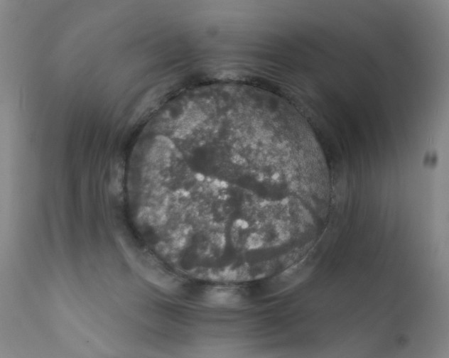X0000112430175200909041445