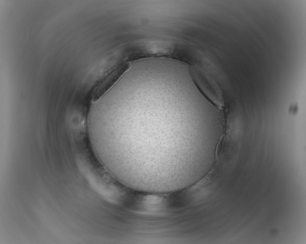 X0000112430176200909041445