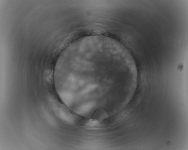 X0000112430177200909041445