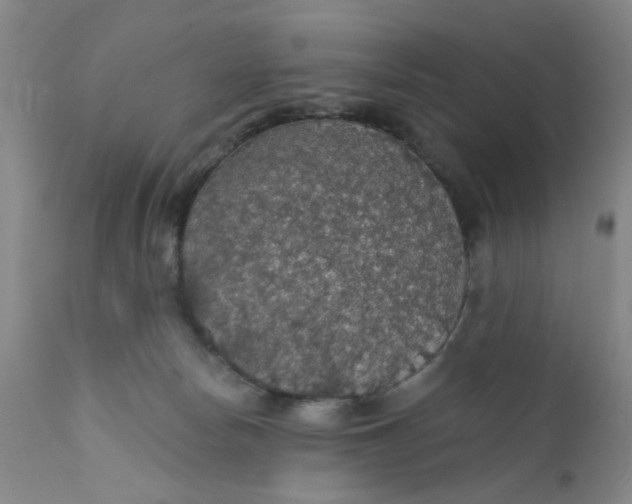 X0000112430178200909041445
