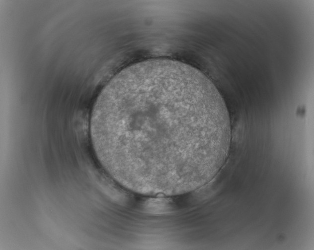 X0000112430179200909041445