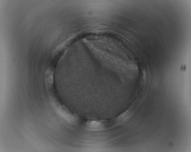 X0000112430180200909041445