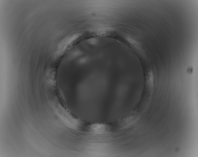X0000112430181200909041445