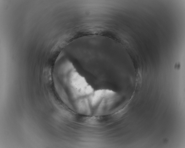 X0000112430182200909041445