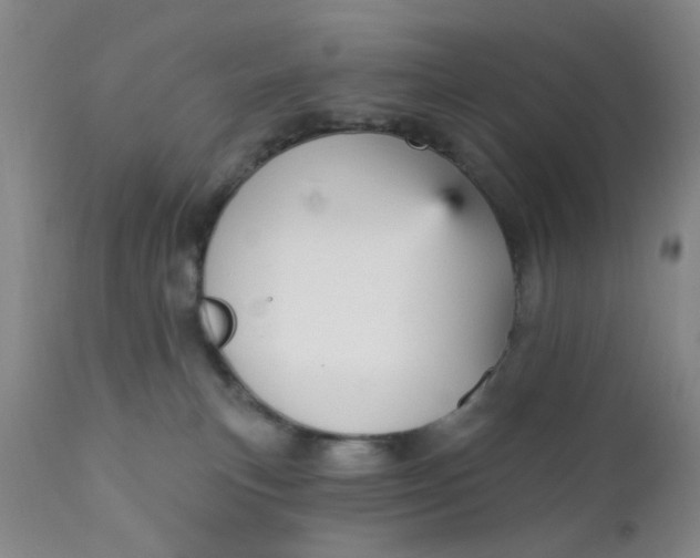 X0000112430183200909041445