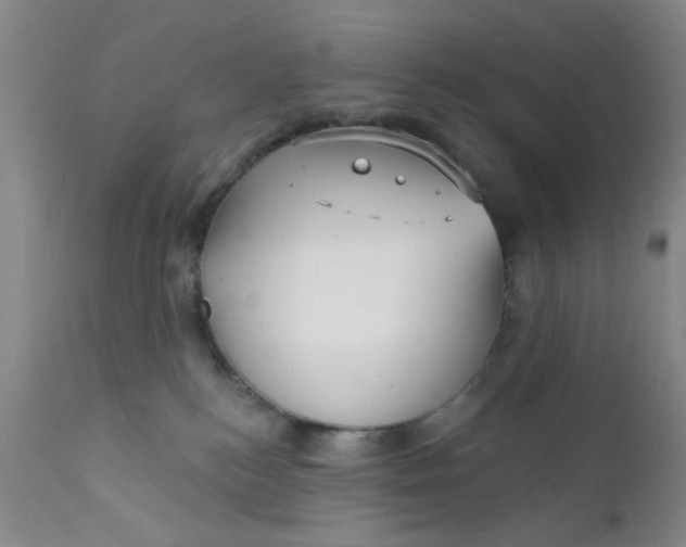 X0000112430184200909041445