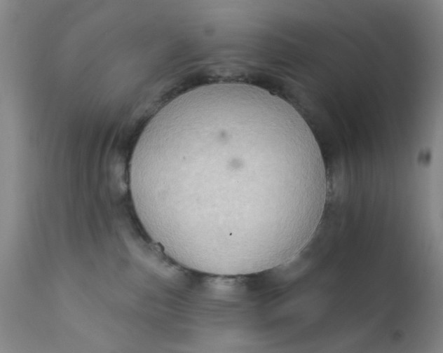 X0000112430187200909041445