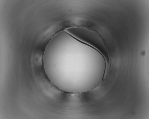 X0000112430188200909041445