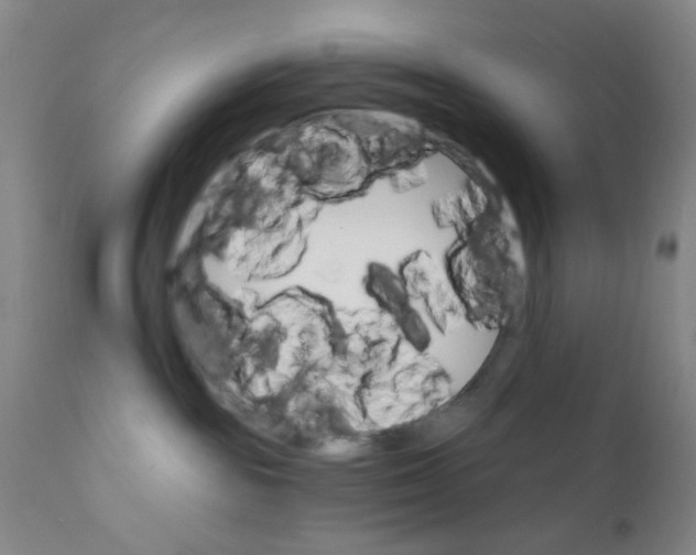 X0000112430189200909041445