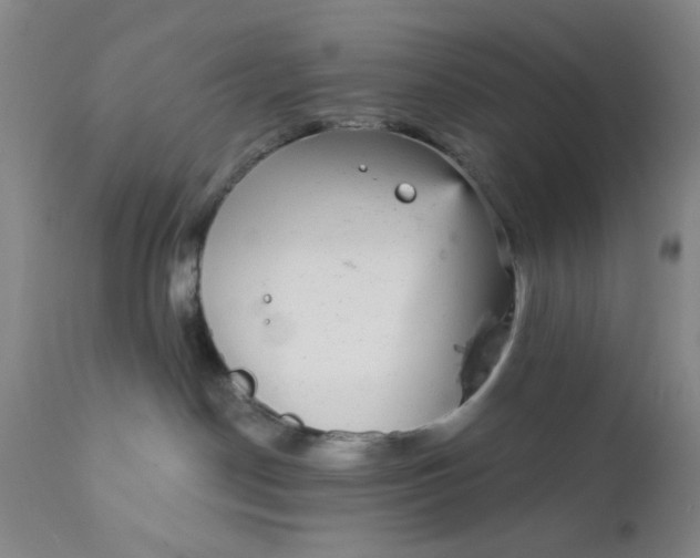 X0000112430190200909041445