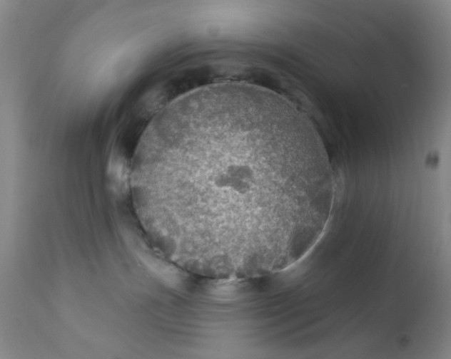 X0000112430191200909041445