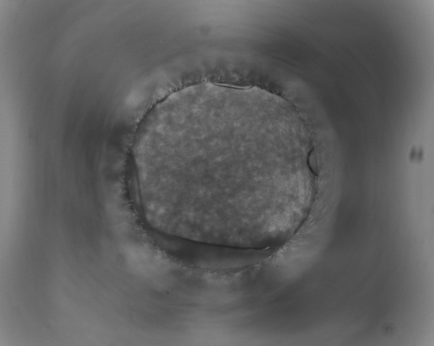 X0000112430192200909041445