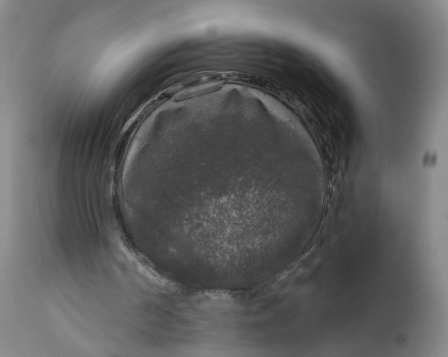 X0000112430194200909041444