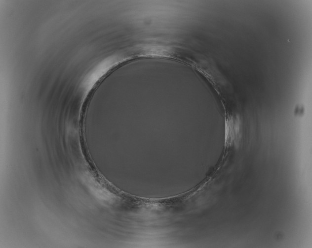 X0000112430195200909041444