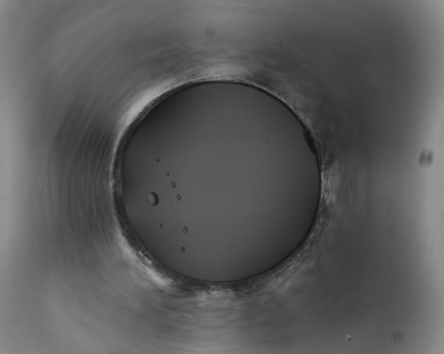 X0000112430196200909041444