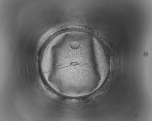 X0000112430197200909041444