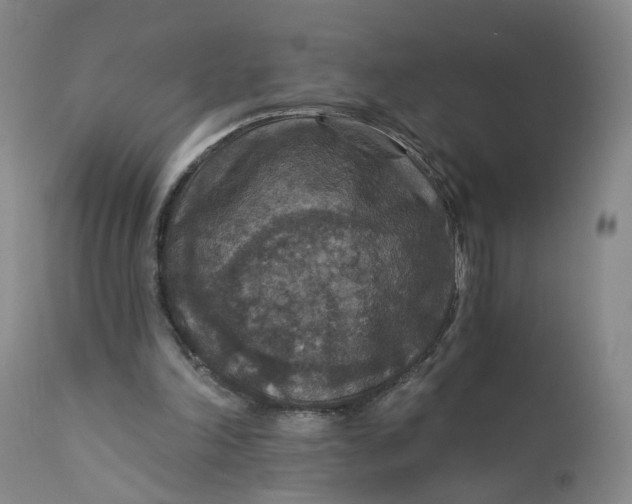 X0000112430198200909041444