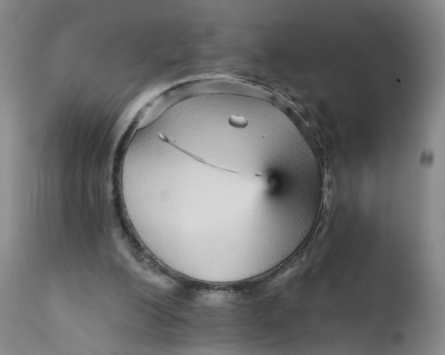 X0000112430200200909041444