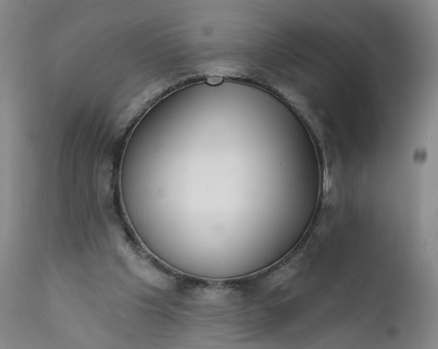 X0000112430201200909041444