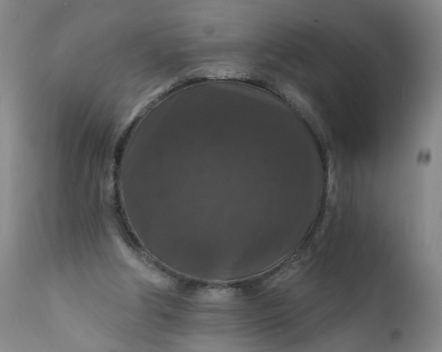 X0000112430202200909041444