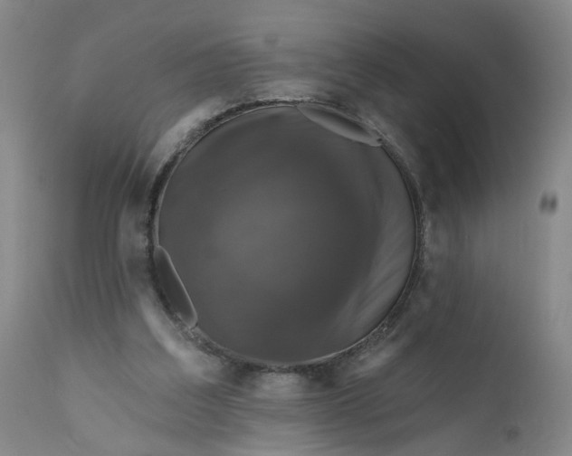 X0000112430203200909041444