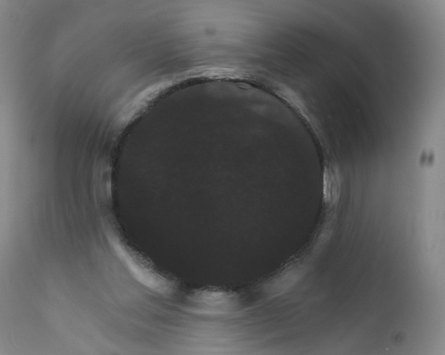 X0000112430205200909041444