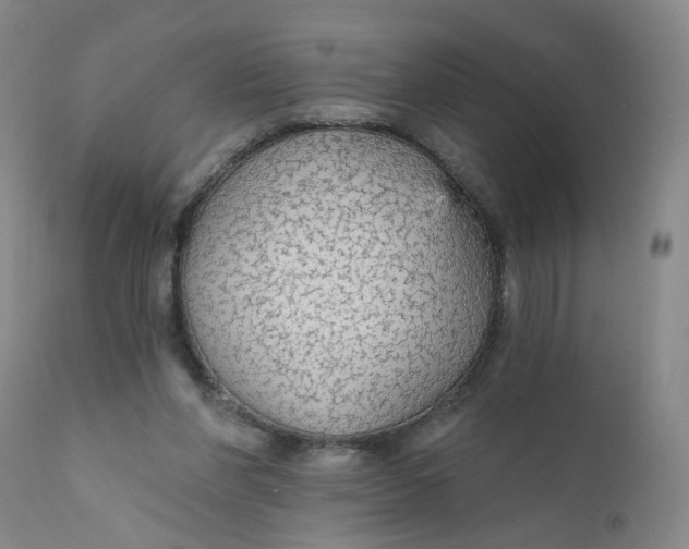 X0000112430206200909041444