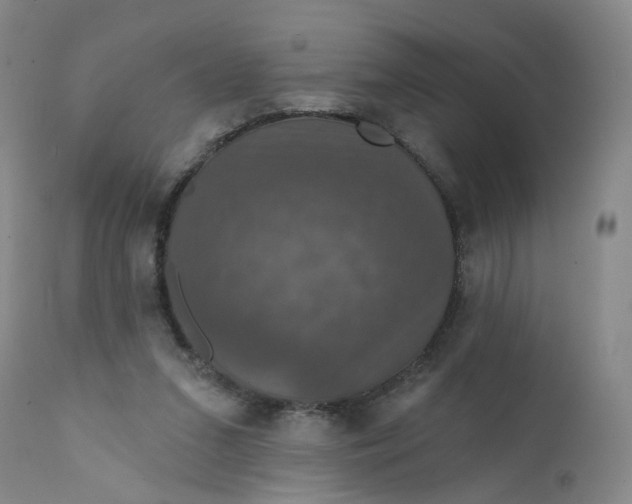 X0000112430207200909041444