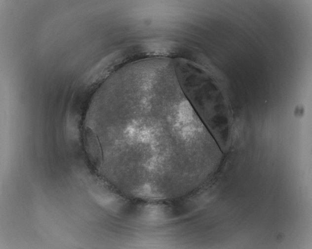 X0000112430209200909041444