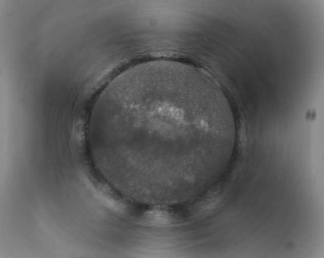X0000112430211200909041444