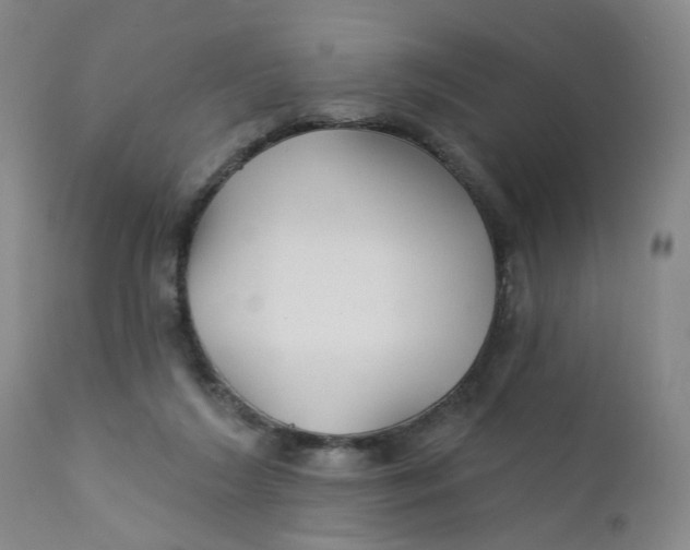 X0000112430212200909041444